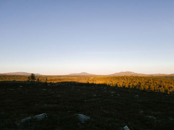 Scenic view of field against clear sky