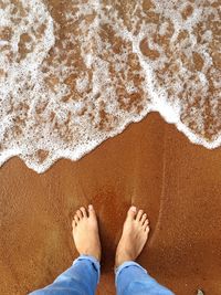 Low section of man standing on shore at beach