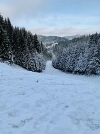 Scenic view of snow covered land against sky