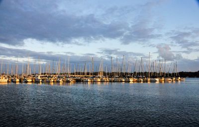 Boats in harbor against cloudy sky