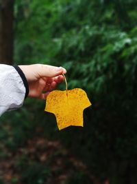 Cropped hand of person holding yellow leaf