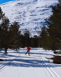 People skiing on snow covered mountain