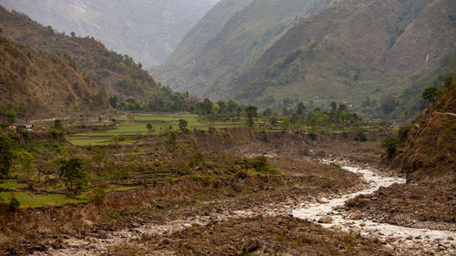 Scenic view of agricultural field against mountains