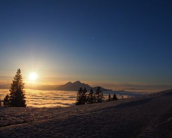 Scenic view of field against sky during sunset