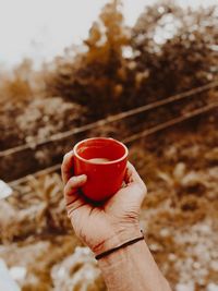 Cropped hand holding coffee cup