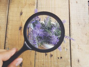 Cropped image of person holding magnifying glass over purple flowers on table