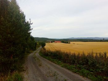 Road amidst agricultural field against sky