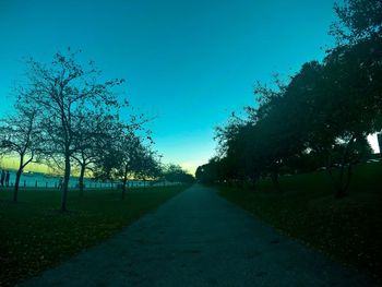 Empty road along trees