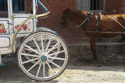 View of a horse cart