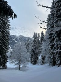 Scenic view of snow covered mountains against sky