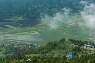 High angle view of trees and buildings