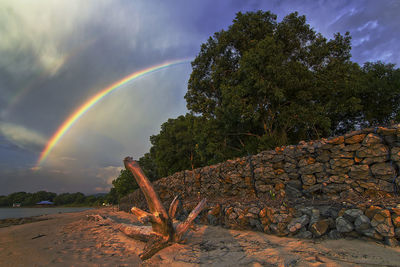 Scenic view of rainbow over trees against sky