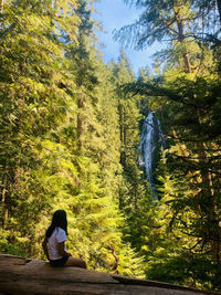 Rear view of man standing in forest