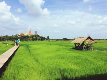 Scenic view of agricultural field against sky