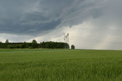 Scenic view of agricultural field against sky