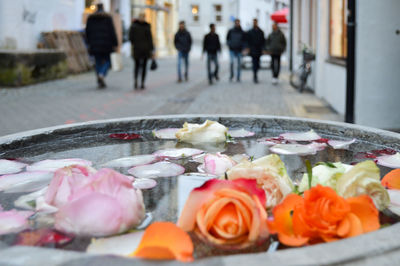 Close-up of roses floating on water in city