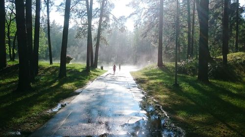 Children walking on wet road amidst trees during sunny day