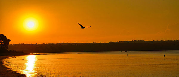 Silhouette birds flying over lake against orange sky