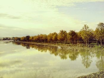 Reflection of trees in lake against sky