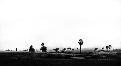 Trees on field against clear sky