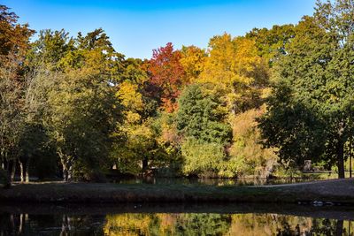 Trees by lake against sky during autumn