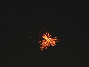 Low angle view of fireworks in sky at night