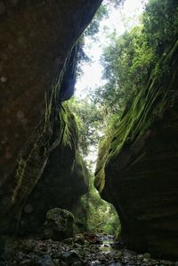 Scenic view of rock formations