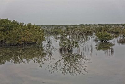 Scenic view of lake against clear sky