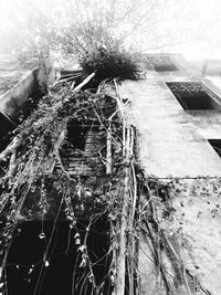 Low angle view of built structure