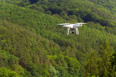 Airplane flying over trees in forest