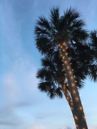 Low angle view of palm tree against sky