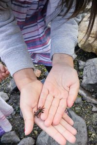 Midsection of girl showing crab on palm