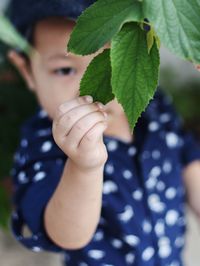 Close-up of boy holding leaf