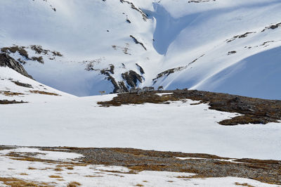 Scenic view of snow covered mountains