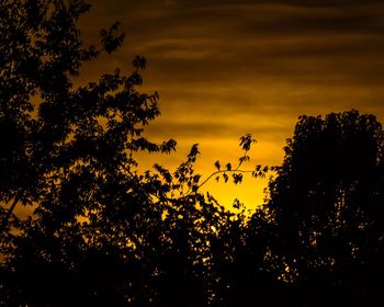 Low angle view of silhouette trees against sky at sunset