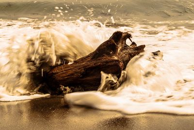 View of sea waves