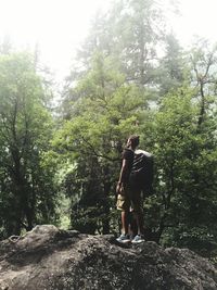 Hiker standing on rock against trees at forest