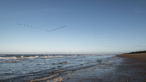 Distant view of birds flying over sea against sky