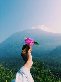 Cropped hand of woman holding pink flower against mountains