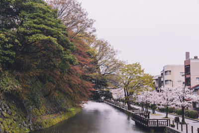 River amidst trees and buildings against sky