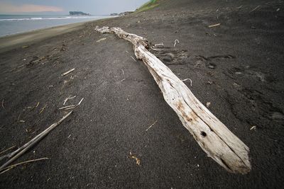 High angle view of driftwood on beach