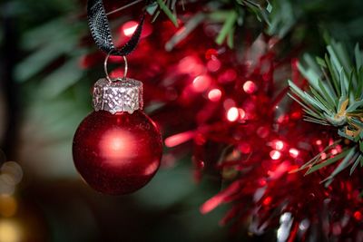 Close-up of christmas tree