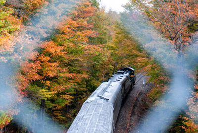 High angle view of trees in forest during autumn