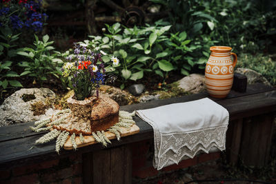 Close-up of potted plant and national bread on table
