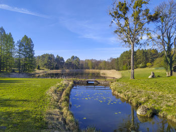 Scenic view of lake by trees on field against sky