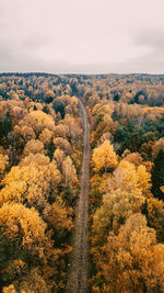 High angle view of trees on landscape against sky