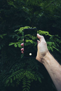 Midsection of person holding plant