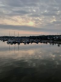 Sailboats moored in marina at sunset