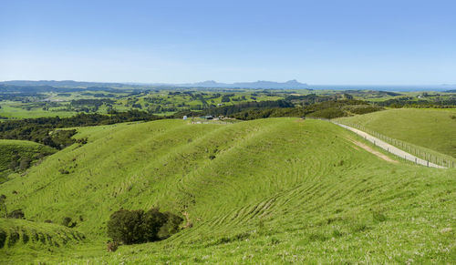 Idyllic rural scenery around the auckland region at the north island of new zealand