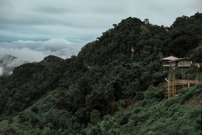 Trees and plants growing on mountain against sky